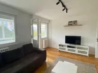 Izdavanje, dvosoban stan, 40m², Liman 3, Novi Sad Sve Podlokacije - image 1
