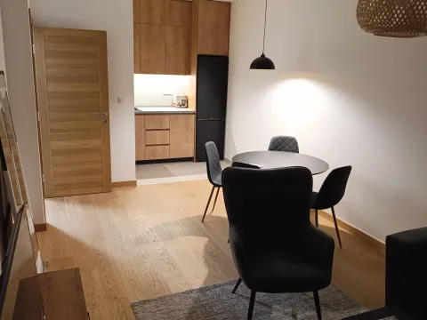 Rent, one bedroom apartment, 45m², City Kvart, Podgorica - image 2