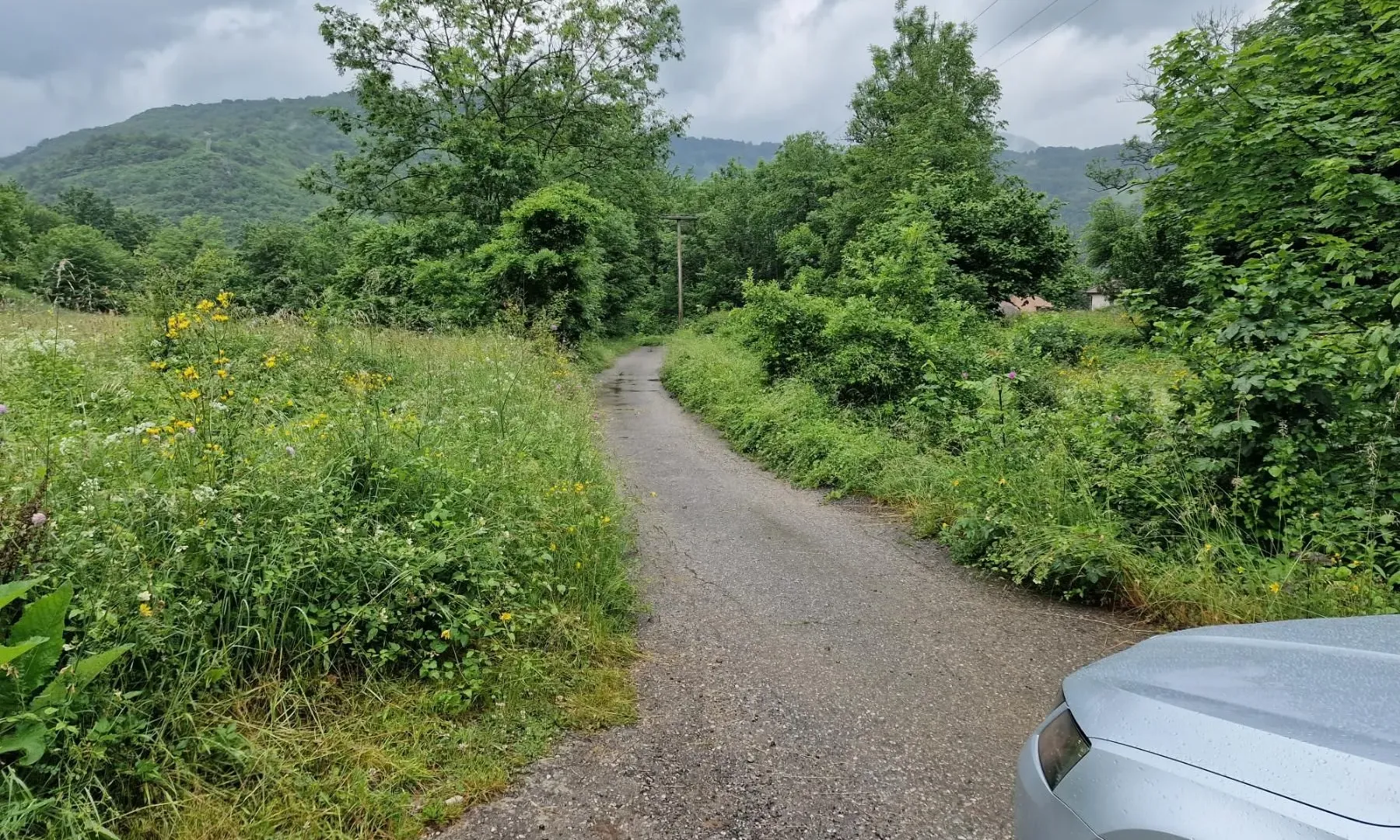 Prodaja, plac, 15100m², Kolašin, Crna Gora