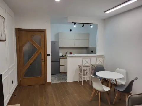 Izdavanje, jednosoban stan, 49m², Ljubović, Podgorica - image 2