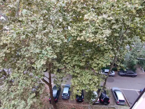 Prodaja, dvosoban stan, 69m², Mirijevo Sve Podlokacije, Beograd - image 2