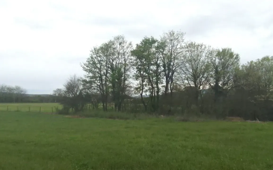 Sale, land lot, 9925m², Podglavica, Danilovgrad