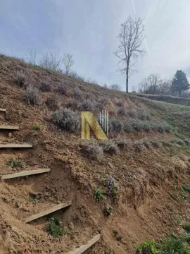 Kosi plac sa zasađenim rastinjem i drvenim stepenicama na zemljištu. - image 7