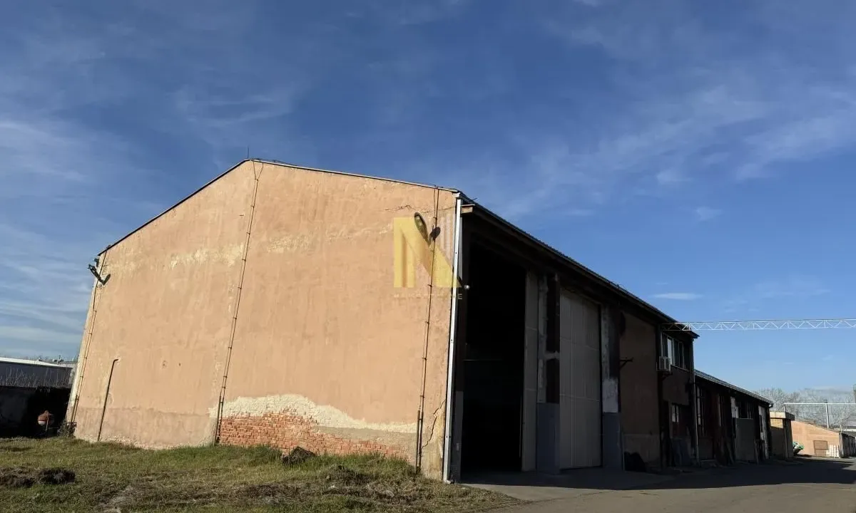 Izdavanje, poslovni prostor, 681m², Salajka, Novi Sad Sve Podlokacije