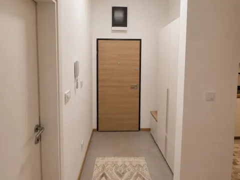 Rent, one bedroom apartment, 50m², Zabjelo, Podgorica - image 7