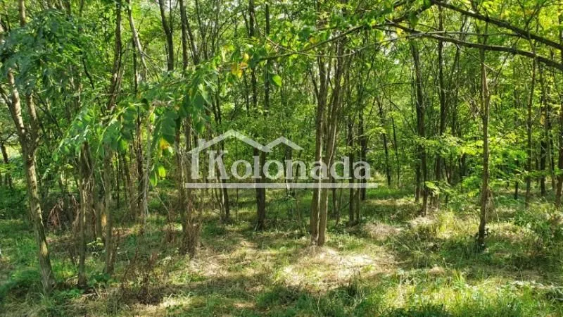 Prodaja, kuća, 141m², Babe, Sopot