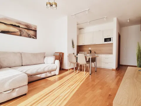 Rent, one bedroom apartment, 45m², Bečići, Budva - image 2
