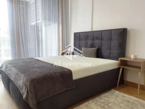 Izdavanje, dvosoban stan, 60m², Novi Beograd Blok 65, Novi Beograd Sve Podlokacije - image 8