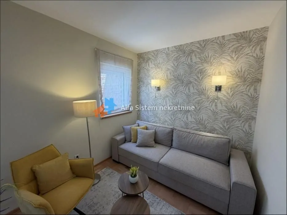 Izdavanje, dvosoban stan, 54m², Kalenić Pijaca, Vračar Sve Podlokacije
