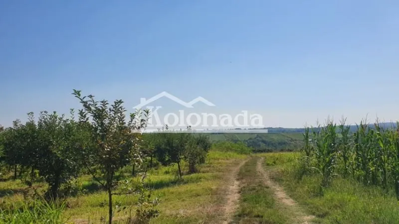 Sale, land lot, 13400m², Djurinci, Sopot