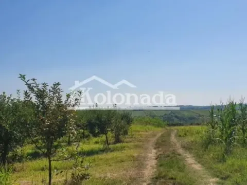 Sale, land lot, 13400m², Djurinci, Sopot - image 2