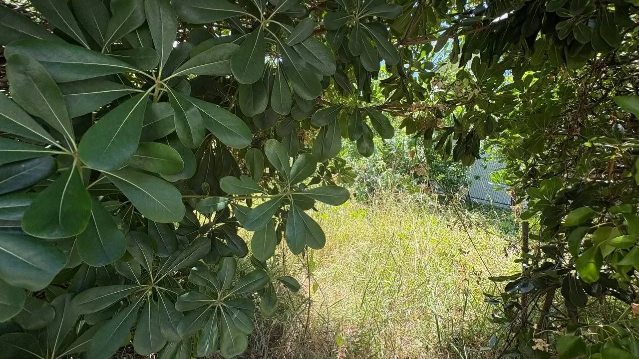 Sale, land lot, 410m², Donja Lastva, Tivat