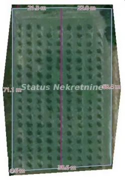 Katastarski prikaz parcele sa označenim dimenzijama. - image 6