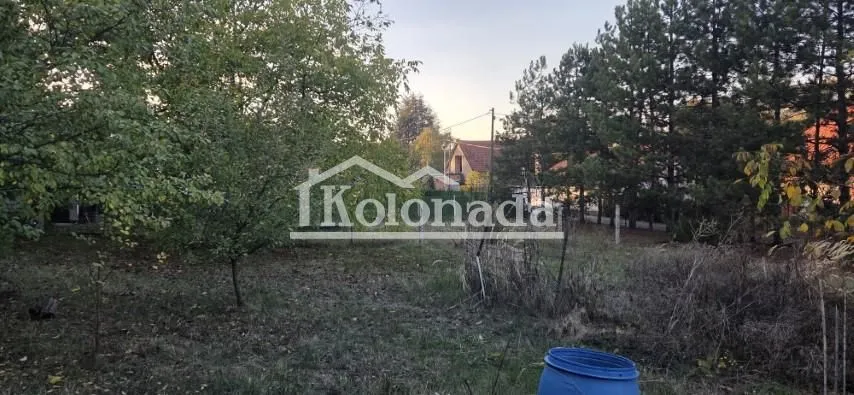 Pogled na prostrano dvorište sa drvećem i rastinjem.