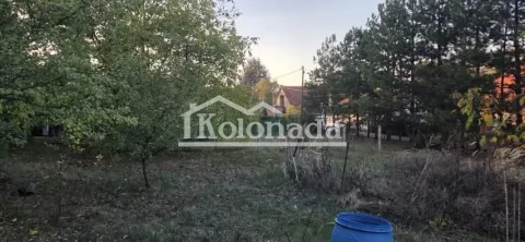 Pogled na prostrano dvorište sa drvećem i rastinjem. - image 3