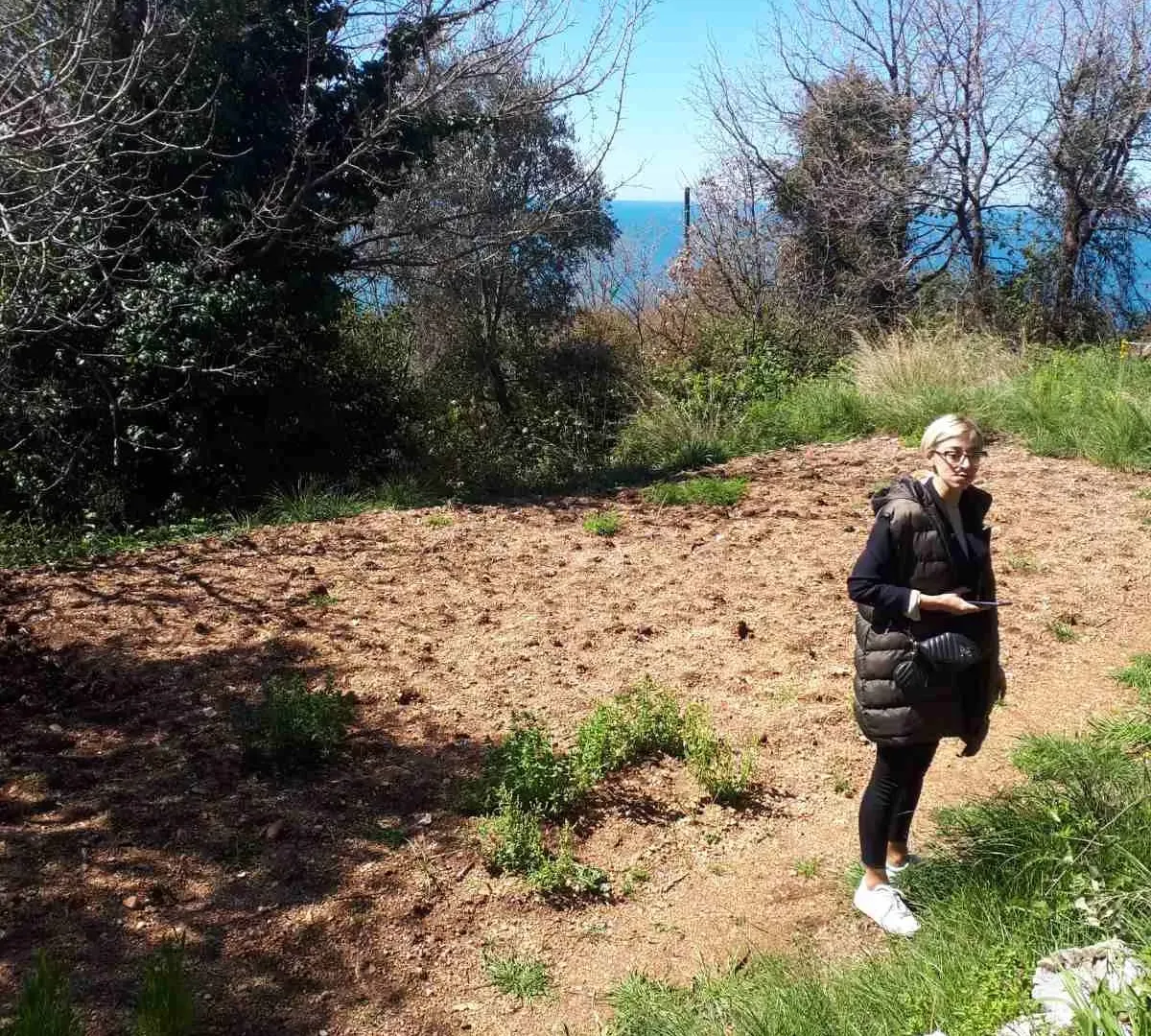 Prodaja, plac, 310m², Budva, Crna Gora