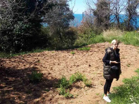 Prodaja, plac, 310m², Budva, Crna Gora - image 4