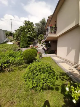 Pogled na uređeno dvorište i fasadu kuće sa zelenilom. - image 10