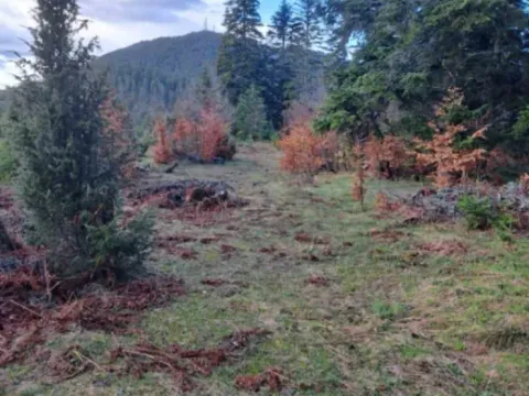 Sale, land lot, 10500m², Stublo, Čajetina - image 5