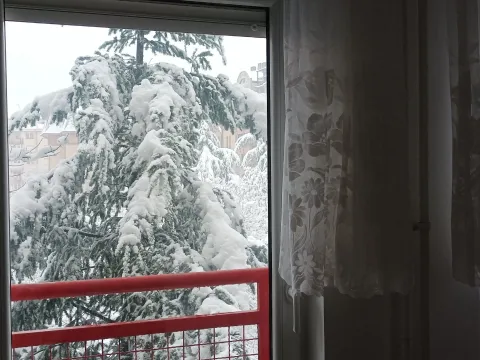 Rent, two bedroom apartment, 60m², Bežanijska Kosa Sve Podlokacije, Beograd - image 19