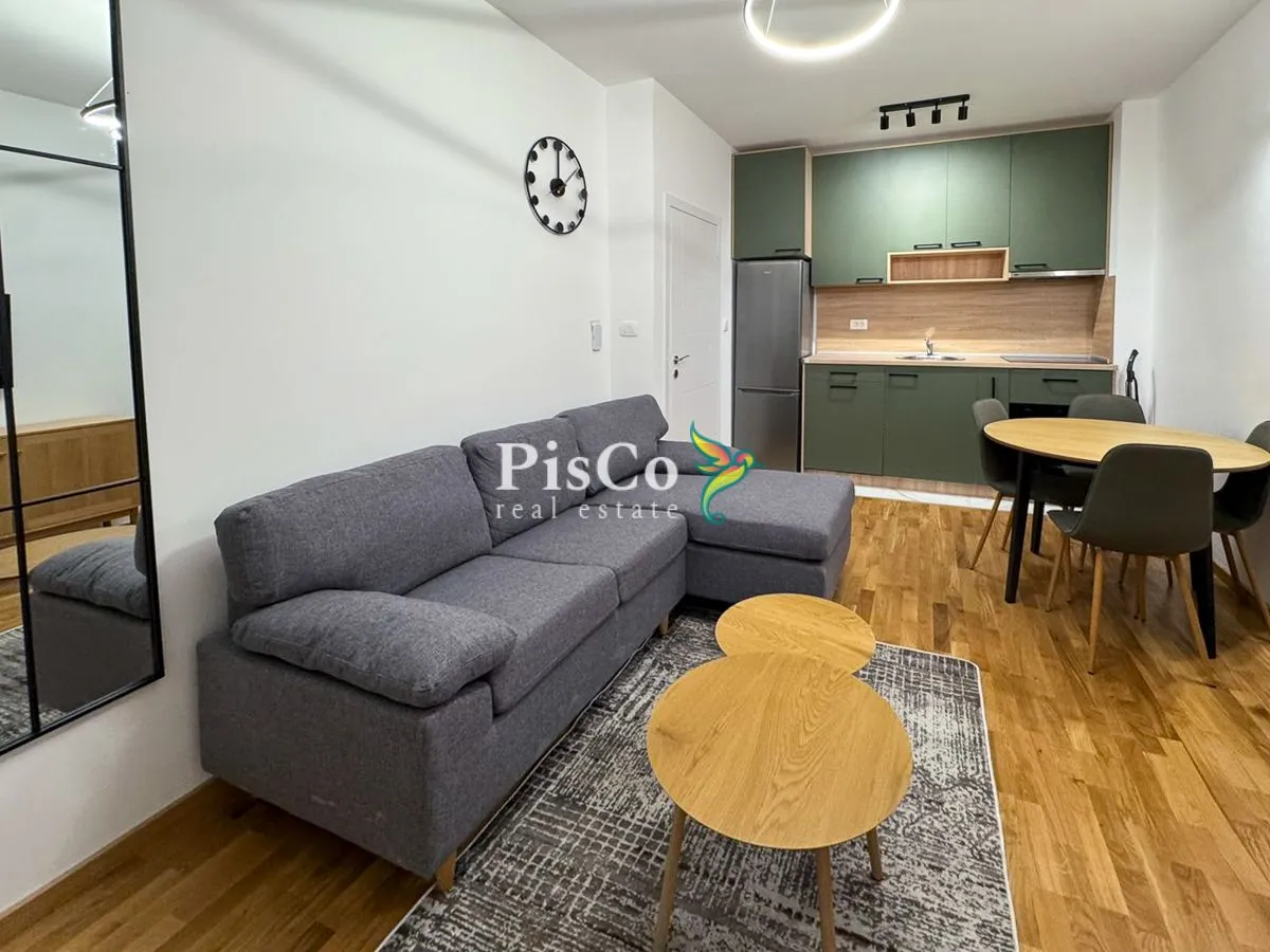 Rent, one bedroom apartment, 46m², Zagorič, Podgorica