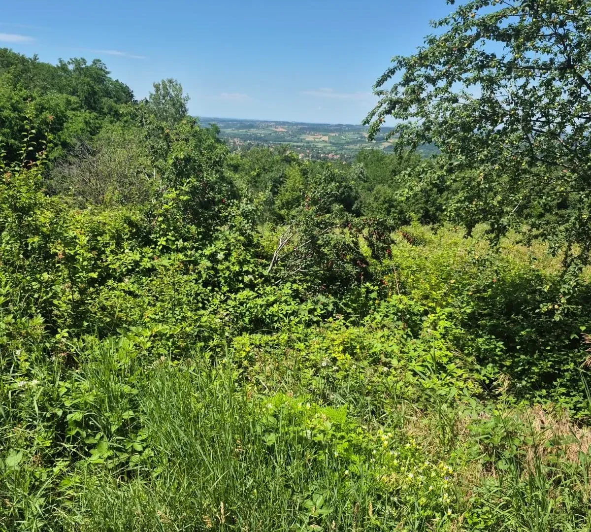 Sale, land lot, 11500m², Valjevo, Srbija