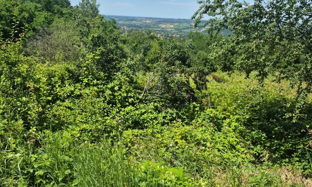 Prodaja, plac, 11500m², Valjevo, Srbija