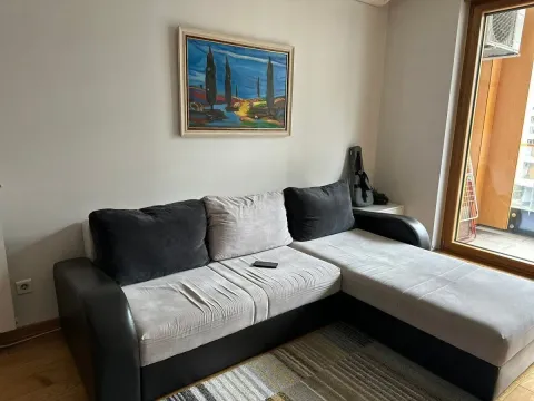 Rent, two bedroom apartment, 66m², Palilula Sve Podlokacije, Beograd - image 2