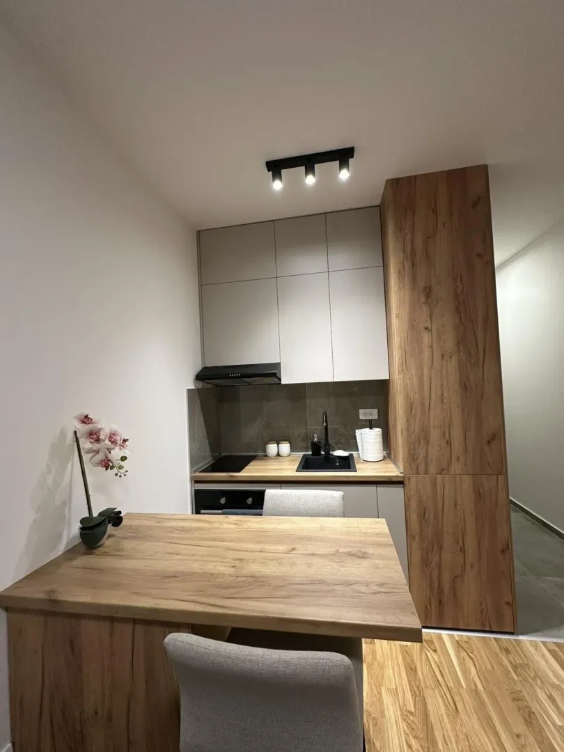Rent, studio apartment, 26m², Zabjelo, Podgorica