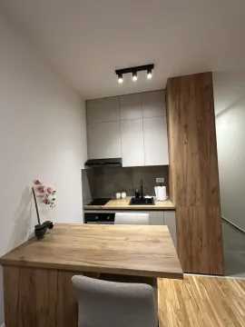Rent, studio apartment, 26m², Zabjelo, Podgorica - image 5
