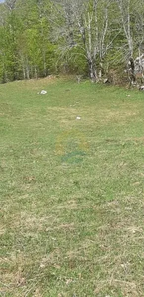 Prodaja, plac, 6692m², Kolašin, Crna Gora
