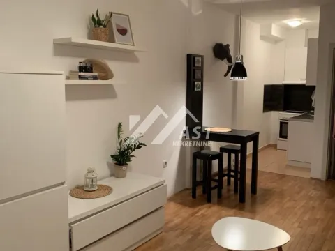 Izdavanje, stan, 27m², Detelinara, Novi Sad Sve Podlokacije - image 3