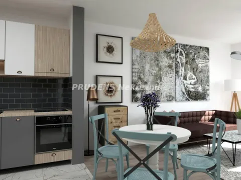 Sale, two bedroom apartment, 41m², Banja Vrdnik, Irig - image 4