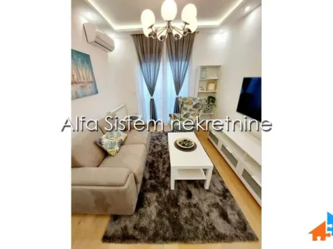 Izdavanje, stan, 35m², Voždovac Sve Podlokacije, Beograd - image 5