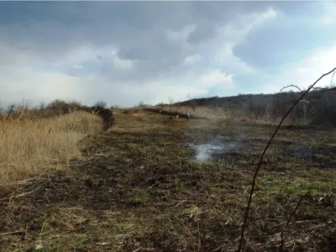 Prodaja, plac, 1450m², Višnjička Banja, Palilula Sve Podlokacije - image 5