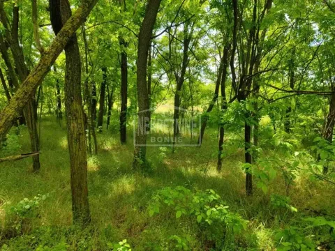 Prodaja, kuća, 63m², Srpski Šor, Subotica - image 12