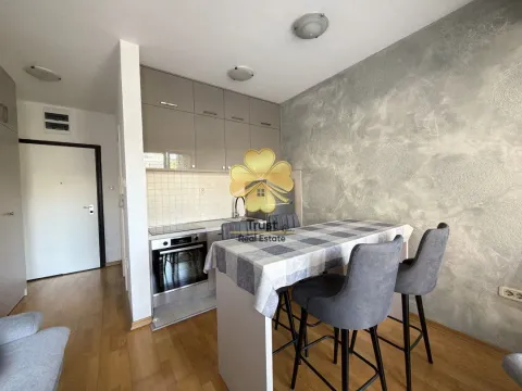 Rent, studio apartment, 30m², Preko Morače, Podgorica - image 4