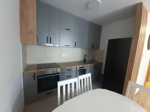 Rent, one bedroom apartment, 45m², Nova Detelinara, Novi Sad Sve Podlokacije - image 7