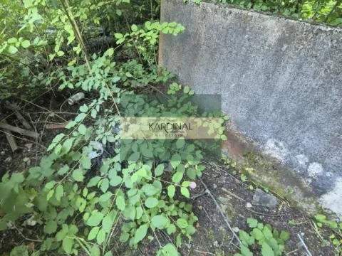 Prodaja, kuća, 56m², Kolonija, Jagodina - image 26