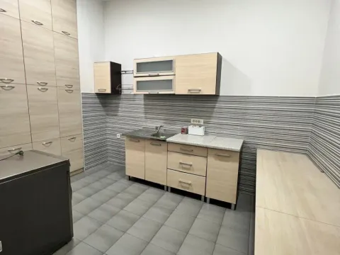 Izdavanje, poslovni prostor, 347m², Krivi Most, Podgorica - image 9