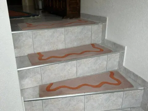 Prodaja, kuća, 402m², Barajevo (mesto), Barajevo - image 4