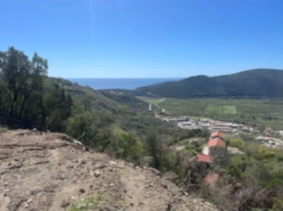 Prodaja, plac, 1000m², Budva, Crna Gora