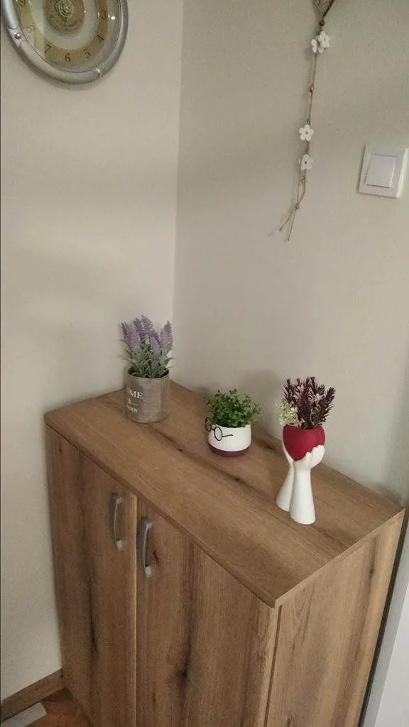 Izdavanje, dvosoban stan, 84m², Centar, Podgorica