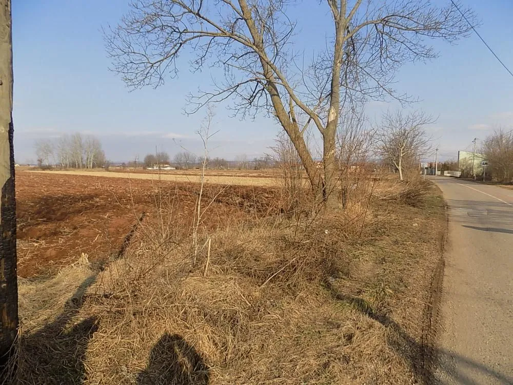 Prodaja, plac, 4581m², Dankovo, Paraćin