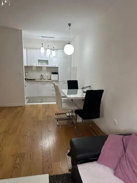 Rent, one bedroom apartment, 49m², Central Point, Podgorica