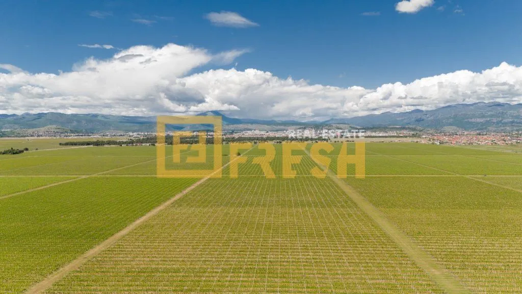 Prodaja, plac, 116700m², Tuzi, Podgorica