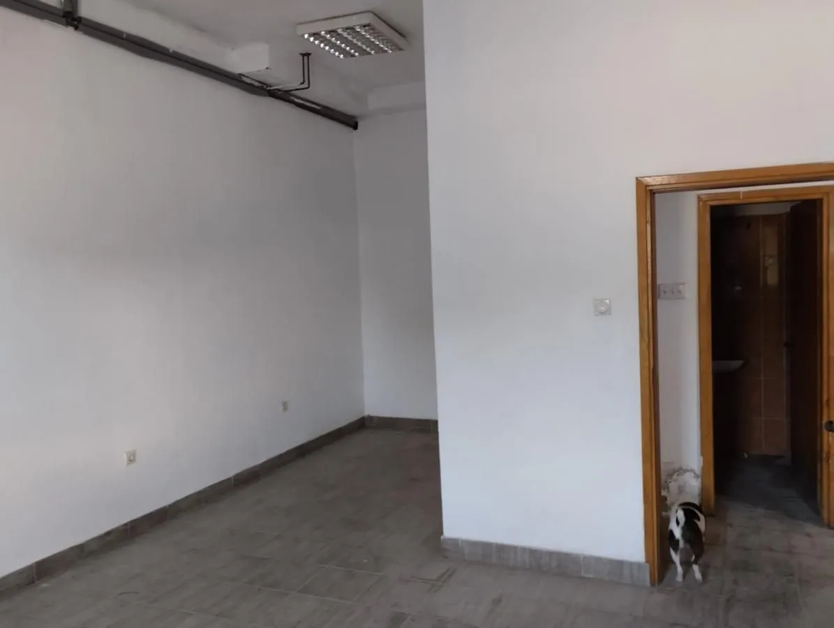 Rent, office space, 780m², Altina, Beograd