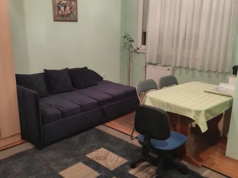 Rent, studio apartment, 26m², Nova Detelinara, Novi Sad Sve Podlokacije