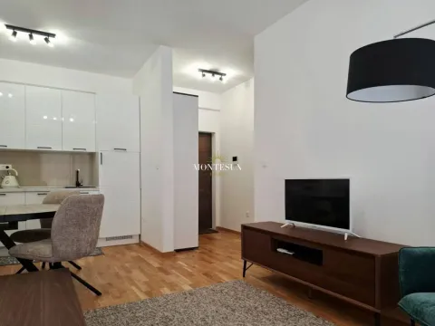 Rent, one bedroom apartment, 47m², Bečići, Budva - image 10