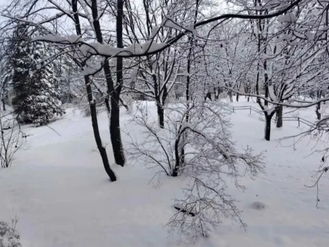 Prodaja, jednosoban stan, 38m², Brace Jerković, Voždovac Sve Podlokacije - image 18